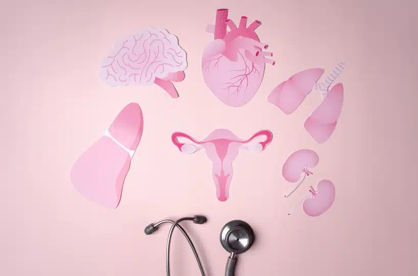 educational female organs